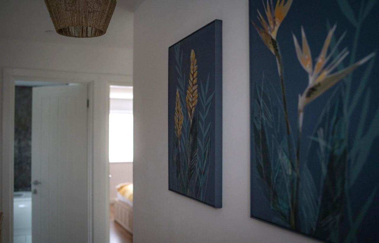 The Red House Modern Stylish Home From Home Walking Distance To Cardiff Bay And City Centre With Parking Exterior foto